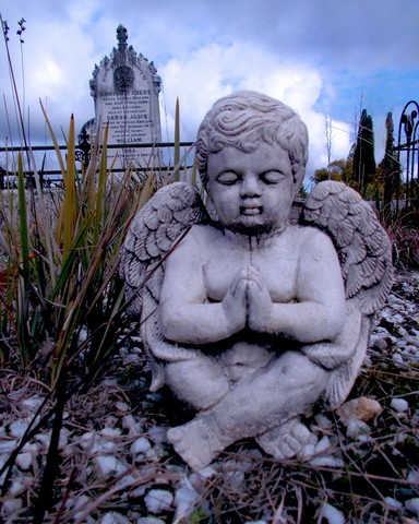 A Lifelong AngelPhotography by Brian Paatsch